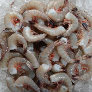 IQF Gulf Shrimp ( Head Off EZ Peel)
