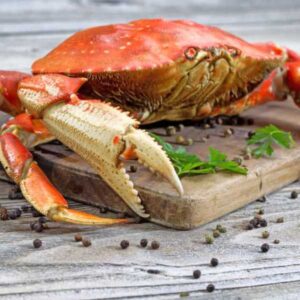 Dungeness Crab